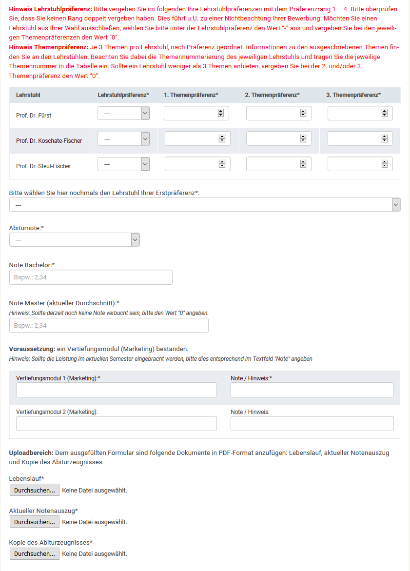 Vorschau Formular Projektarbeit